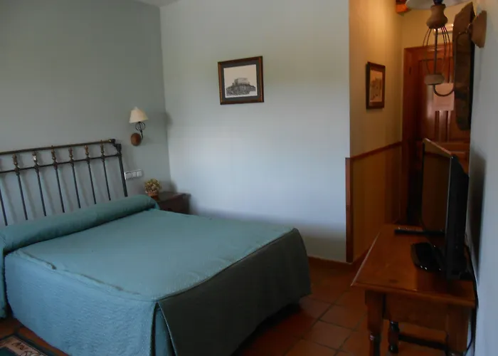 Rural & Puente Del Duraton 호텔 4*