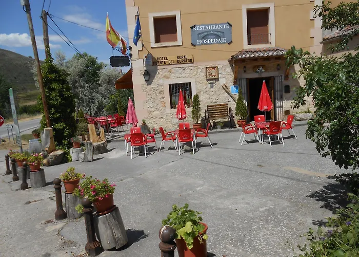 호텔 Rural & Puente Del Duraton 4*