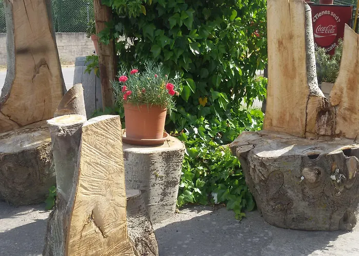 Rural & Puente Del Duraton 호텔 4*